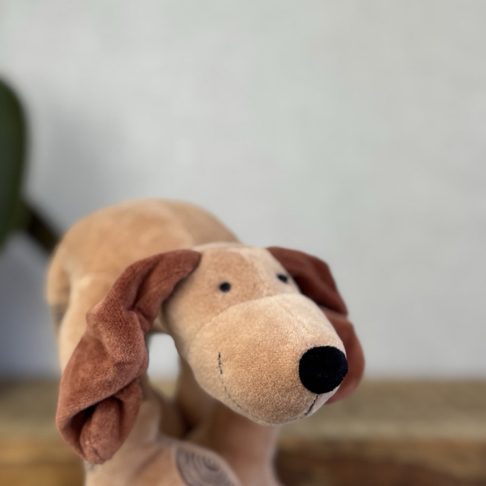 Jellycat Footfall Dog - Vintage Brown Jellycat Dog Beanie Retired Rare With Tags