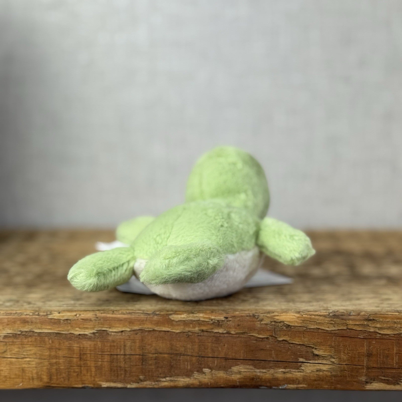 Jellycat Fluffy Turtle - Small Green Sea Turtle Soft Toy Beanie Sea 4” (#2)