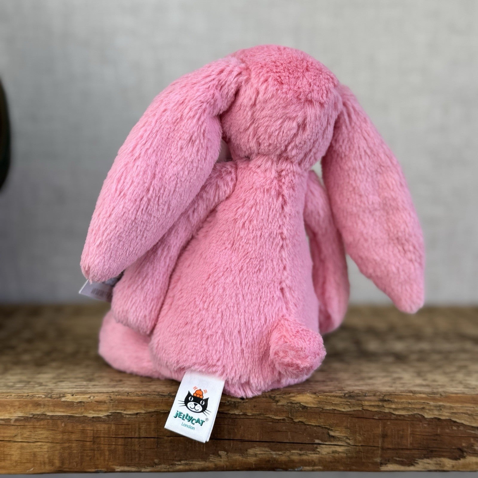 Jellycat Small Bashful Sorbet Bunny - Soft Pink Rabbit Retired Jellycat 8" (#2)