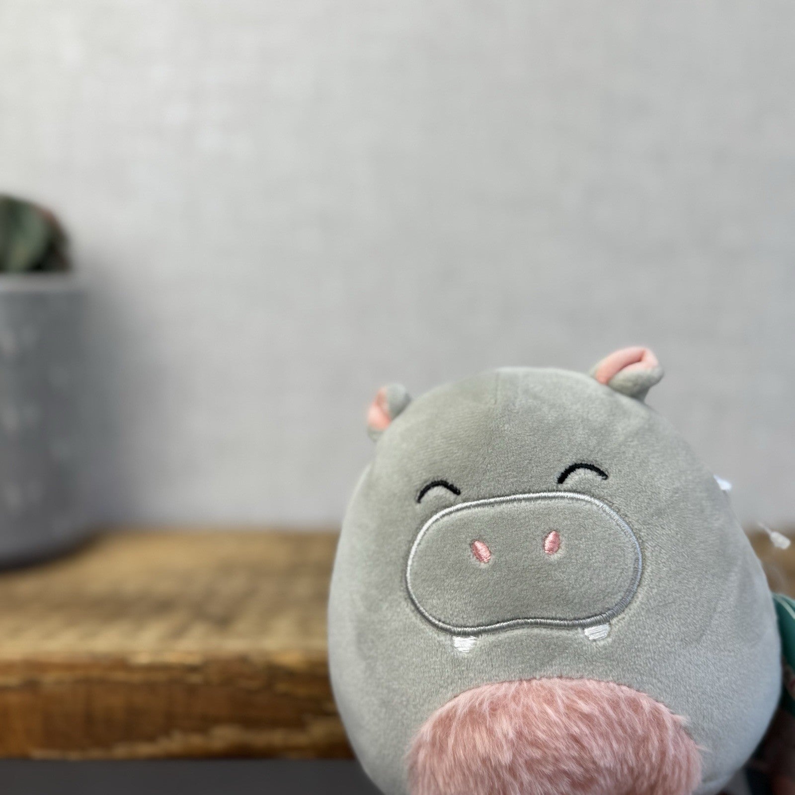 Squishmallow 5" Harrison Hippo Small Plush Squish New With Tags Grey/pink