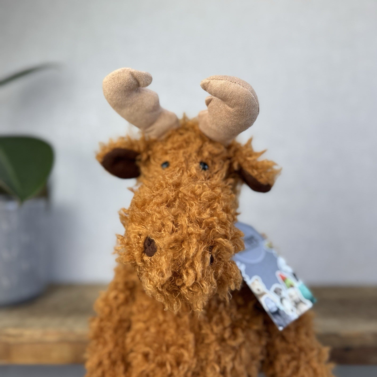 Jellycat Monty Moose - US Exclusive Curly Moose Reindeer Plush Beanie Rare 16"