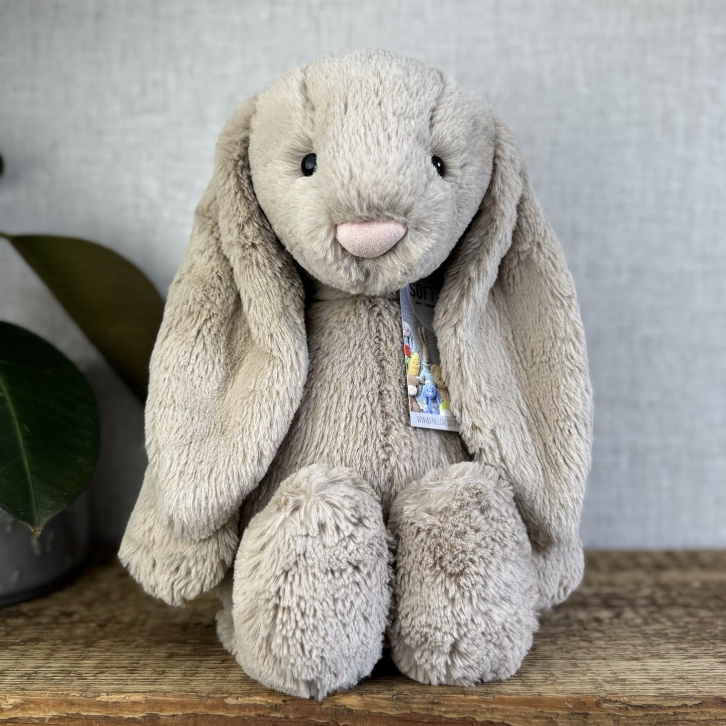 Jellycat Large Bashful Beige Bunny Rabbit - Old Style Large Beige Bunny 16”