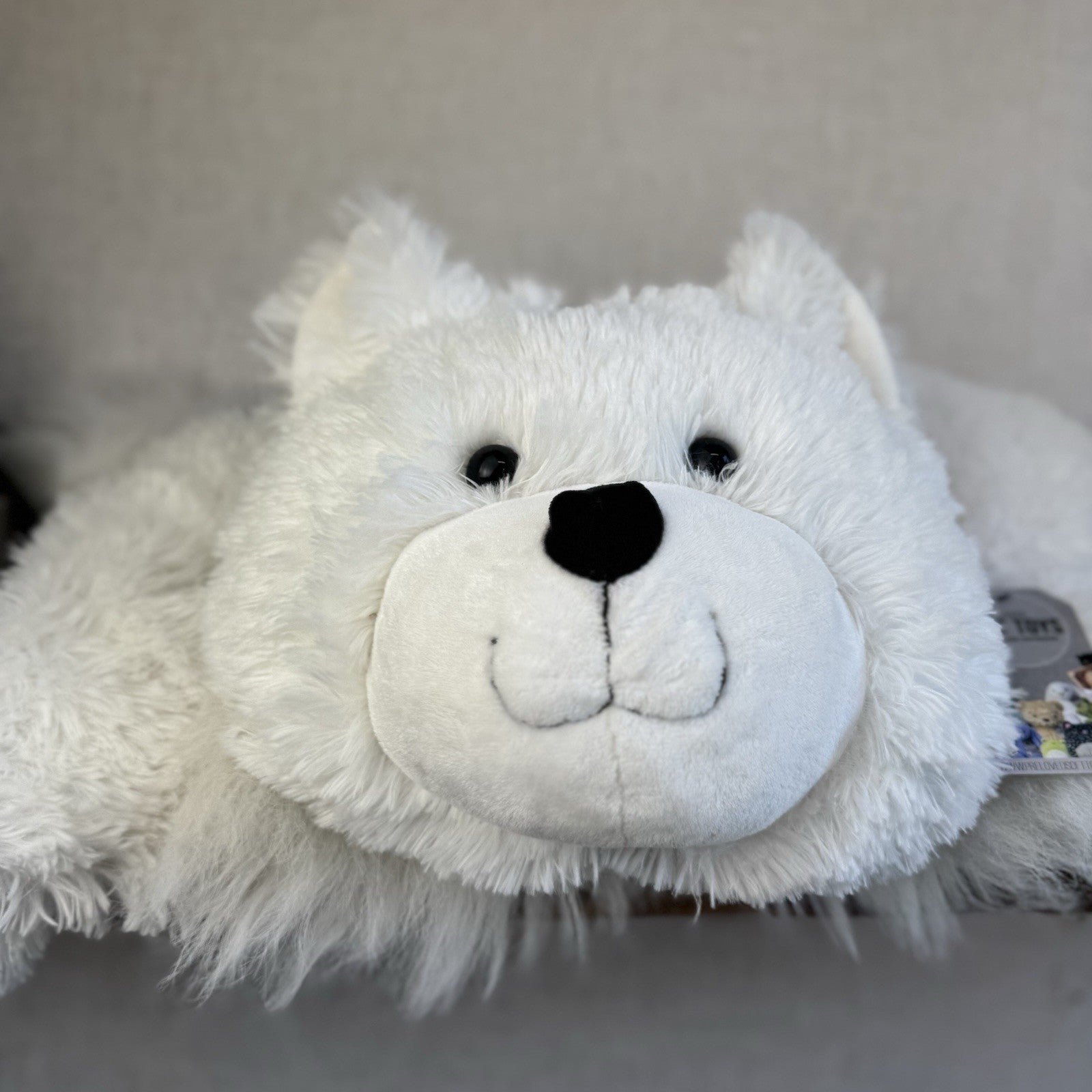 Huge Truffles White Cat - Little White Company/Jellycat Collab Large Cushion Cat
