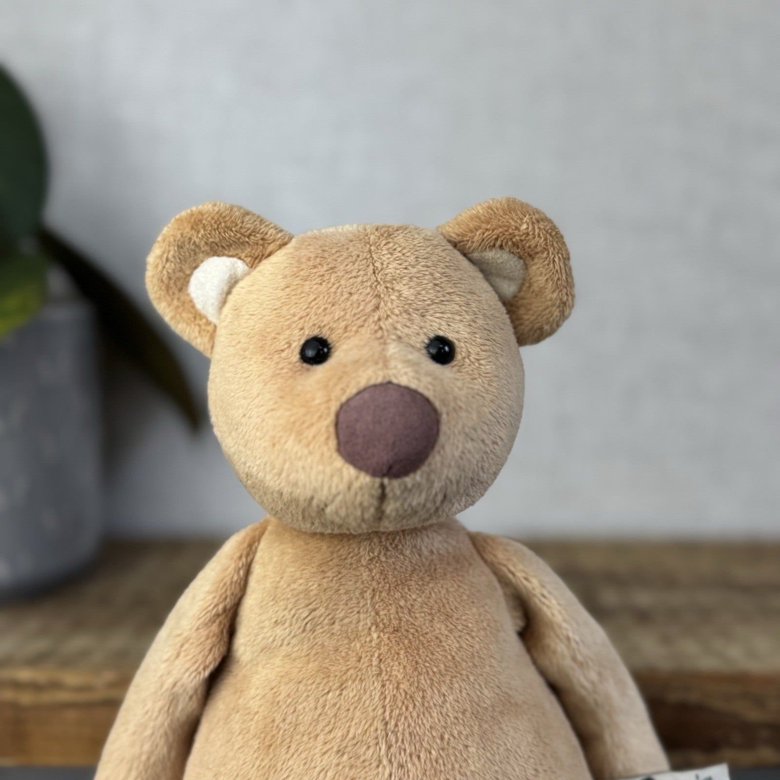 Jellycat JellyKitten Traditional Teddy Bear Beige Tan New Without Tags 12” Rare