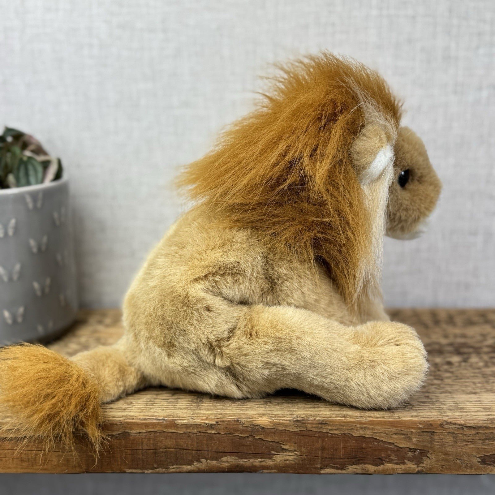 TY Classic Sahara - Beanie Baby Large Lion Wild Cat Soft Toy Pristine Tags 8"