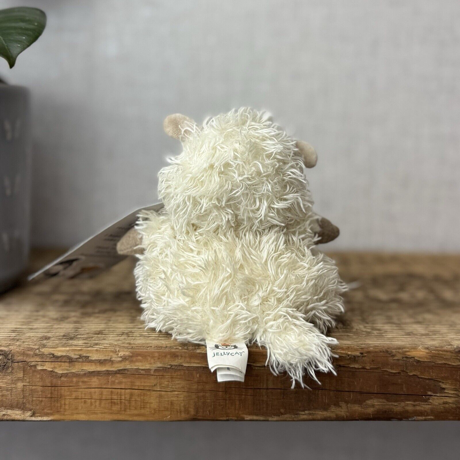 Jellycat Pudding Lamb Sheep - Small Fluffy Lamb Soft Toy Plush Beanie 5”