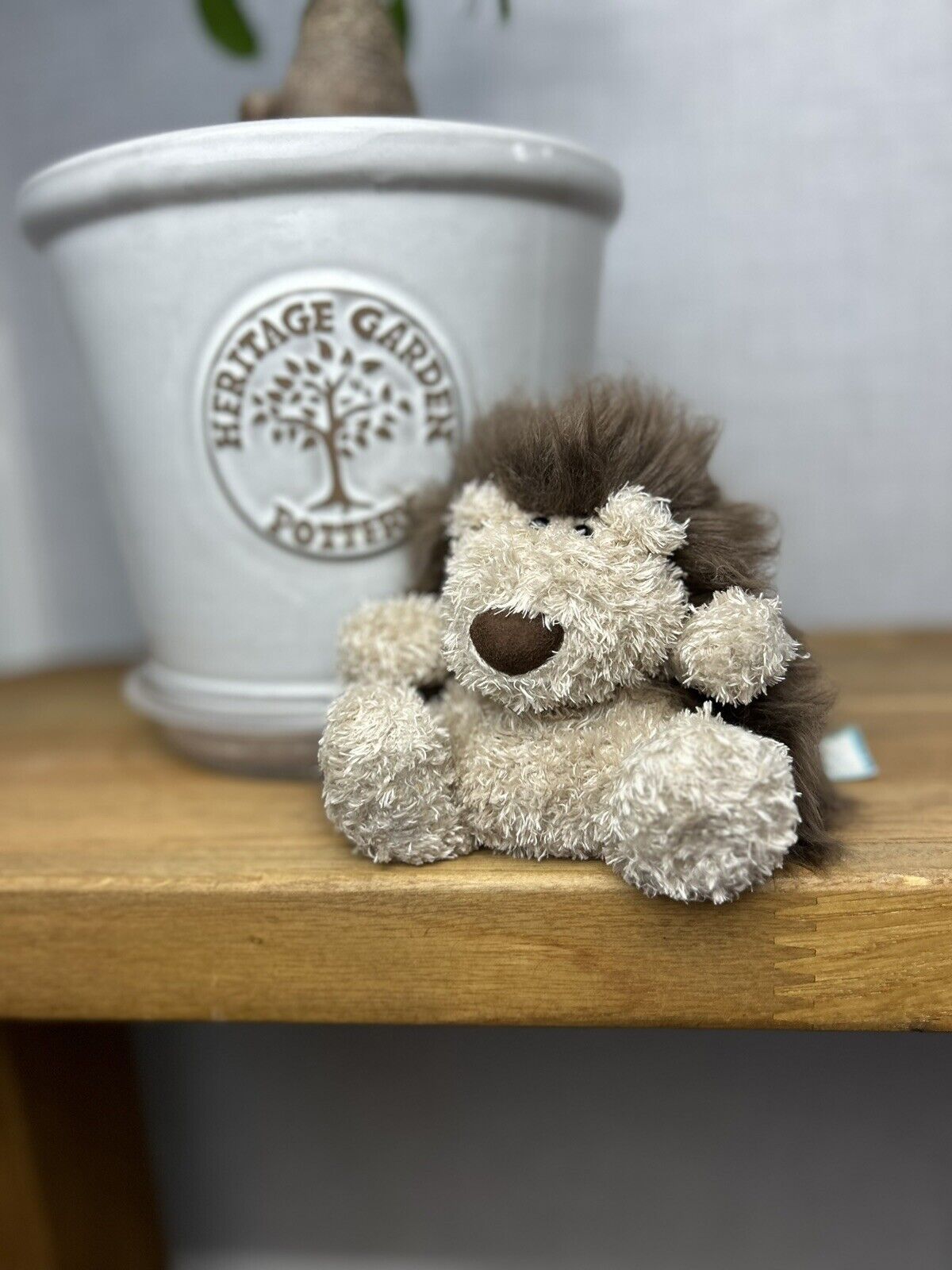 Jellycat Pudding Hedgehog - With Tags
