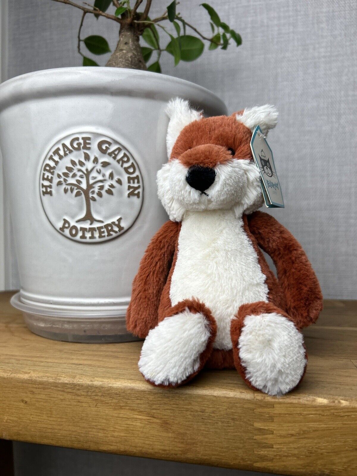 Jellycat Small Bashful Fox - White Belly Fox - OG - Small Fox Jellycat - New