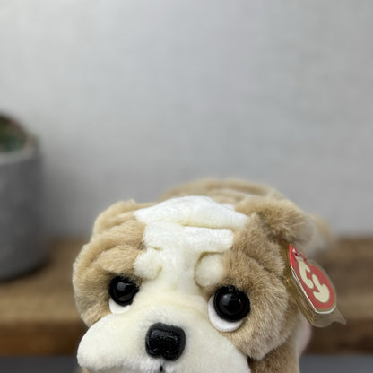 Ty Classic Beanie Buddies Churchill Bulldog Puppy Dog - Wrinkly Dog Pristine New