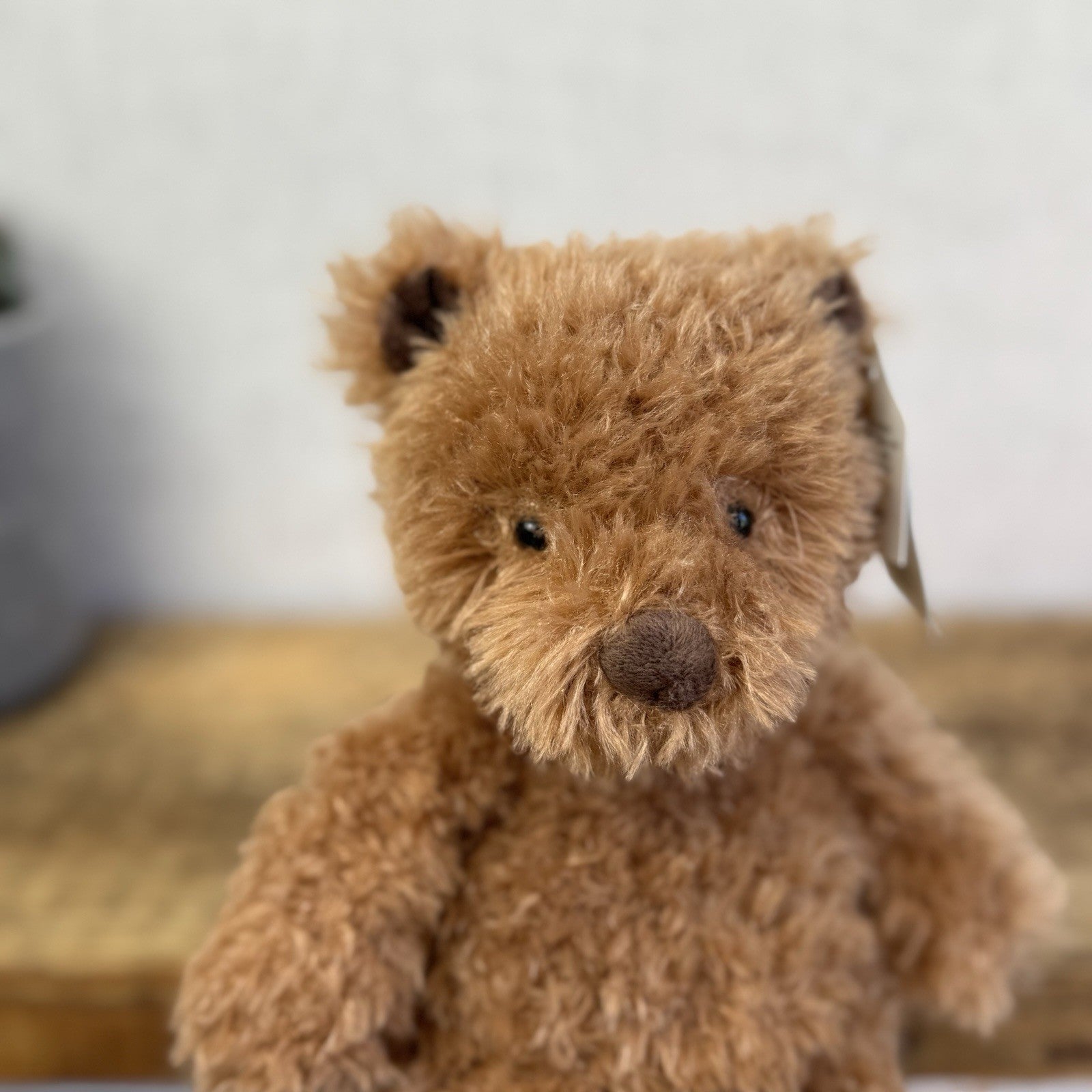 Jellycat Medium Cinnamon Bear - Brown Fuzzy Bear Beanie Retired Rare With Tags