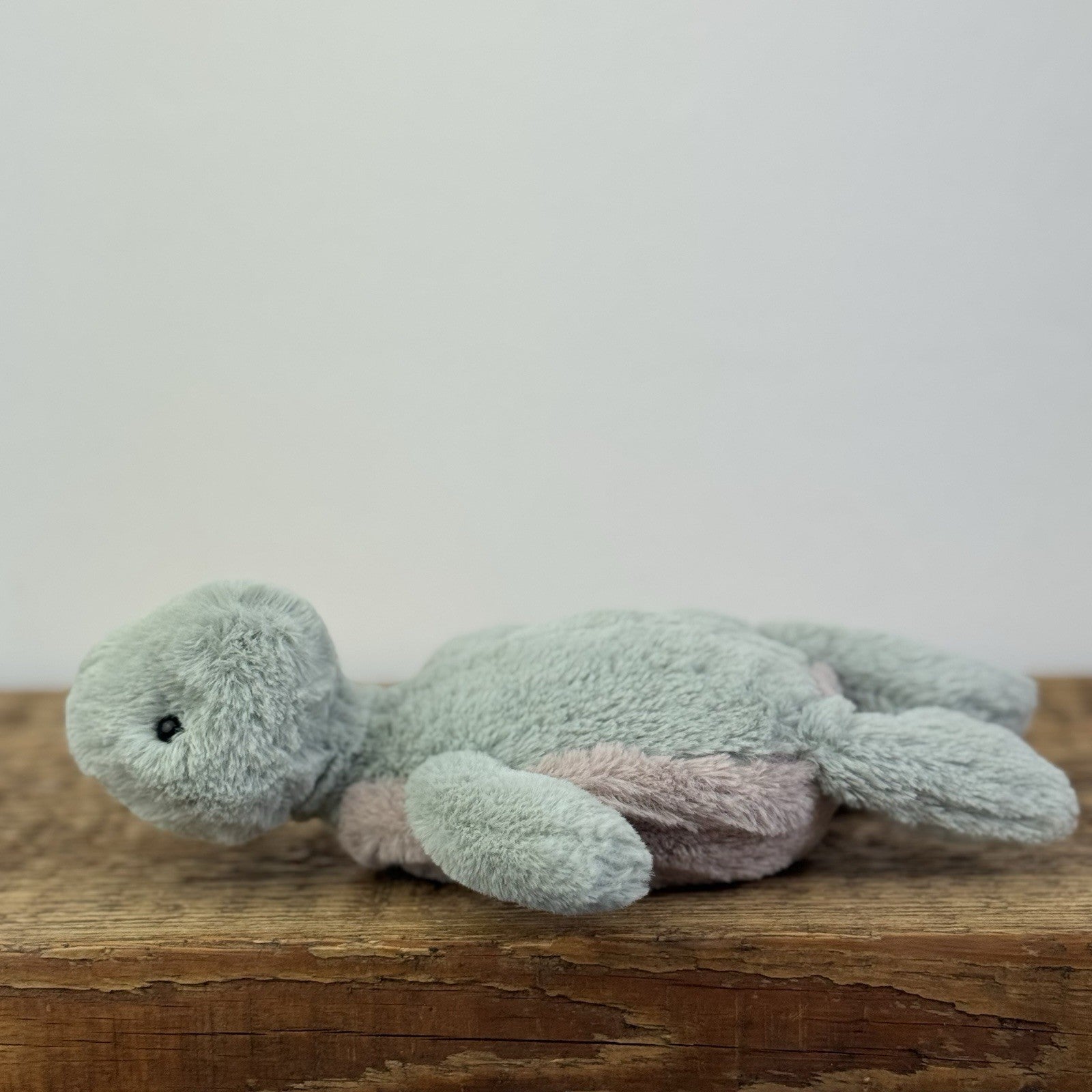 Jellycat Small Bashful Turtle - Small Green Turtle Soft Toy Retired 6" 