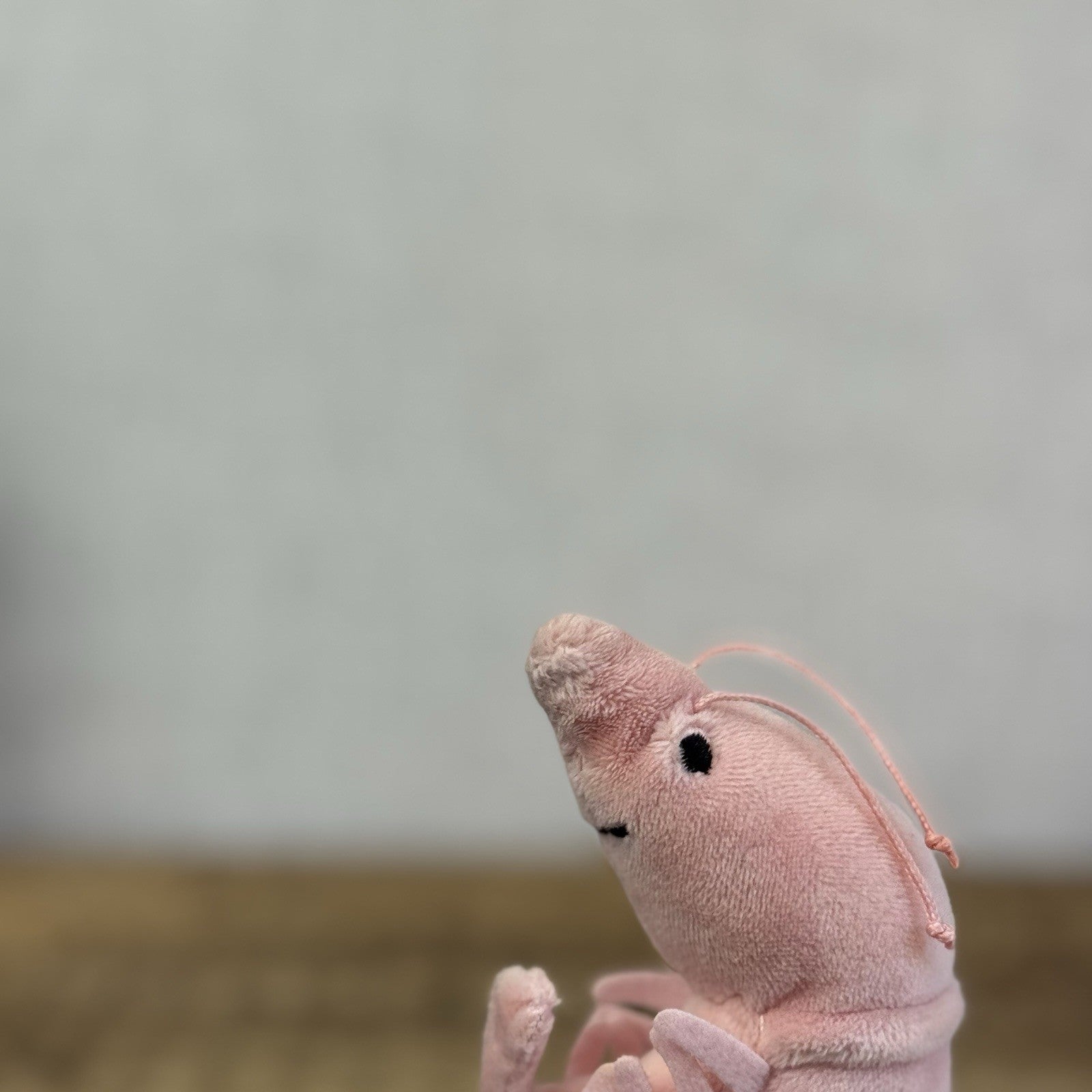 Jellycat Sensational Seafood Shrimp - Small seafood Play Toy Retired 4"