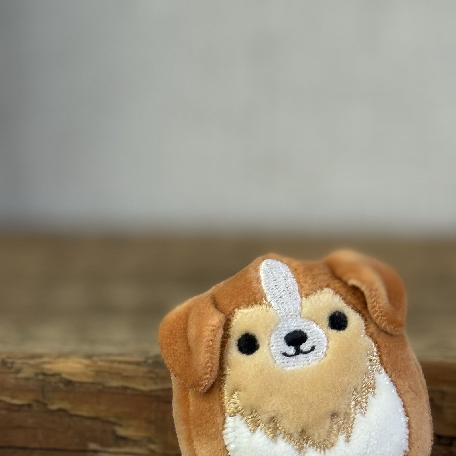 Squishmallow Squishville - Andres The Sheltie Dog - Beige/Brown Mini Dog 2"
