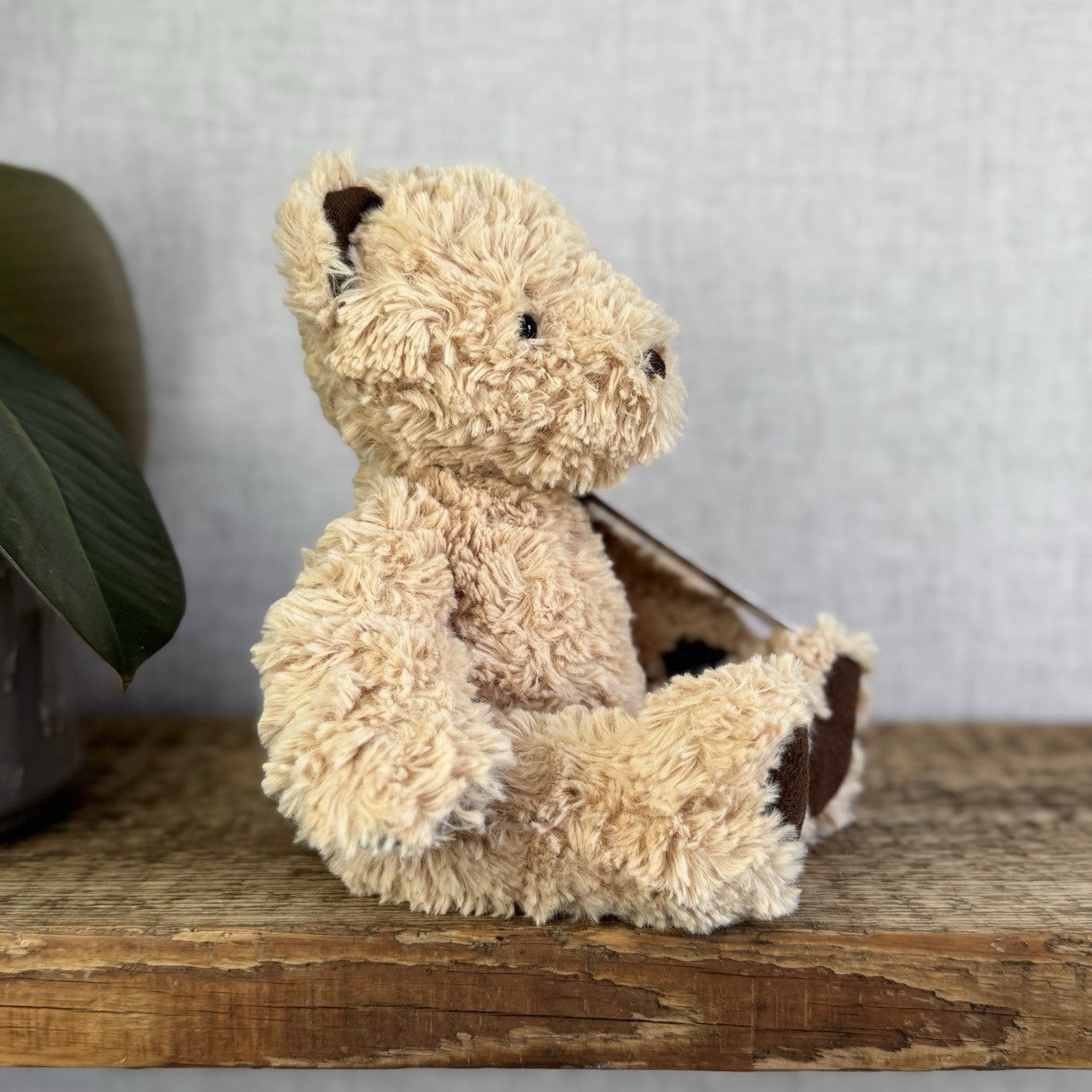 Jellycat Small Edward Bear - Light Brown Traditional Beige Bear Retired 10”