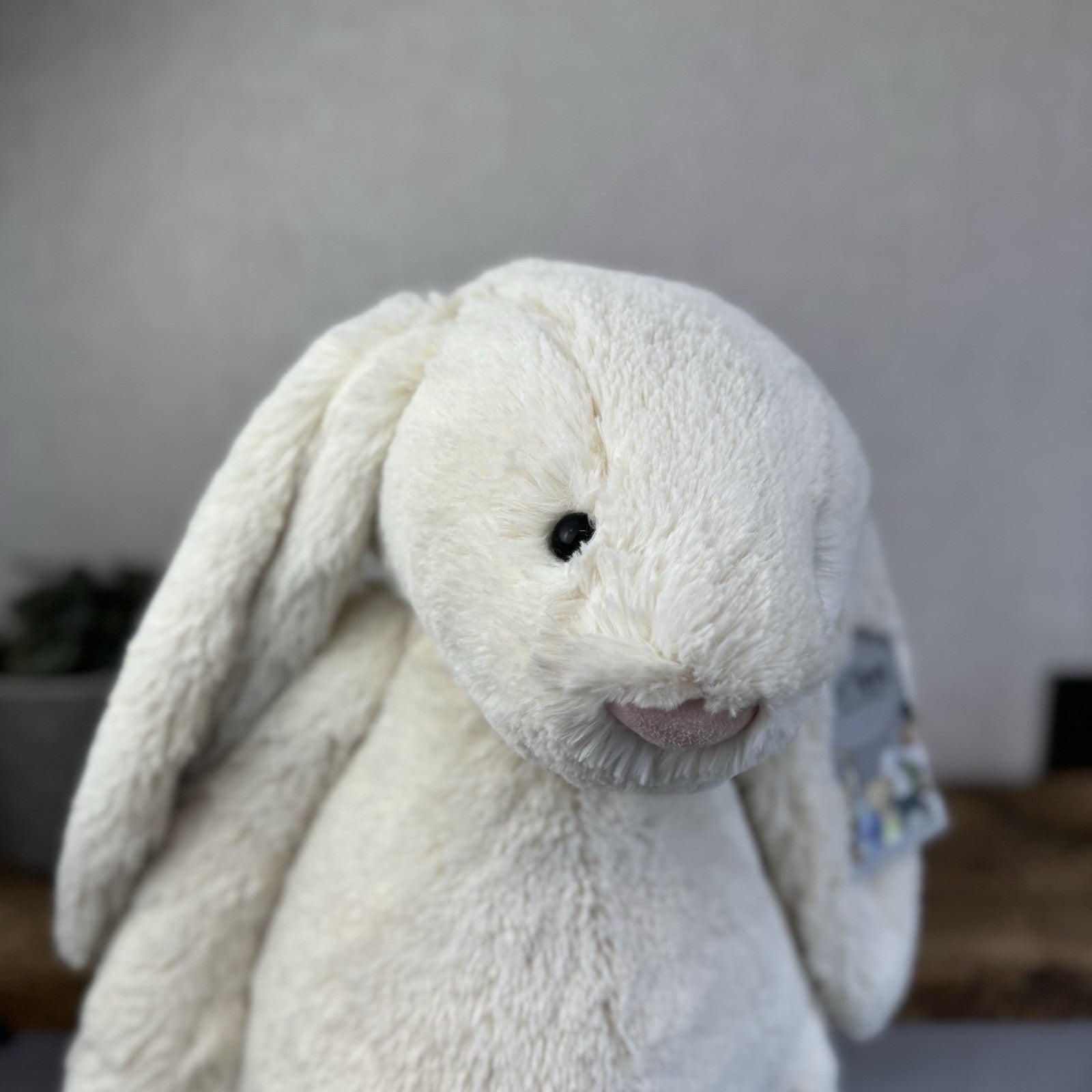 Jellycat Huge Bashful Cream Bunny - Large Off White Bunny - Big Rabbit Toy 50cm