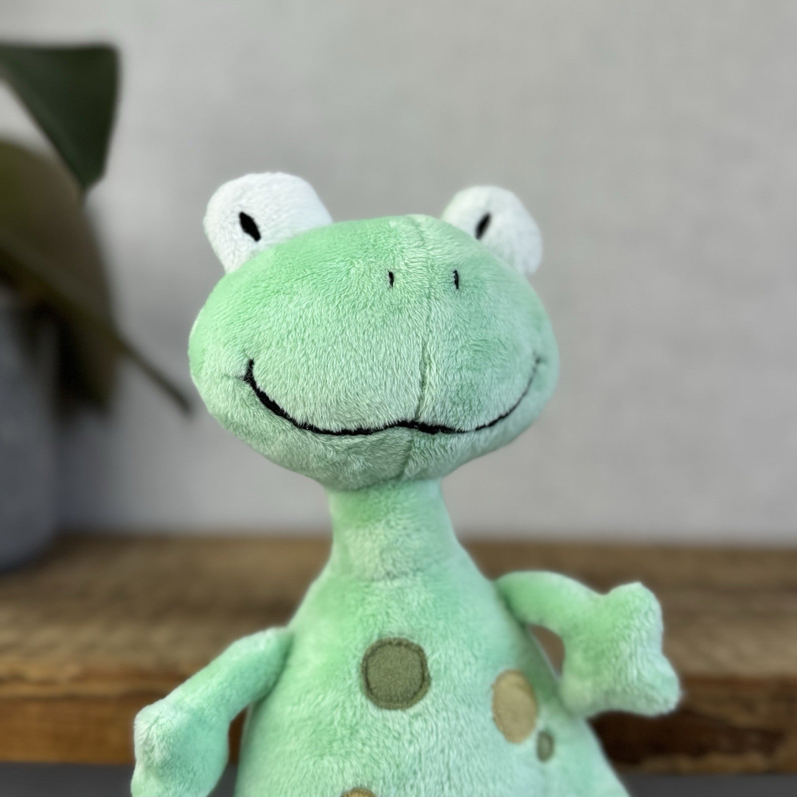 Jellykitten Bing Bong Frog - Soft Toy Frog Vintage Retired With Tags Small 10”