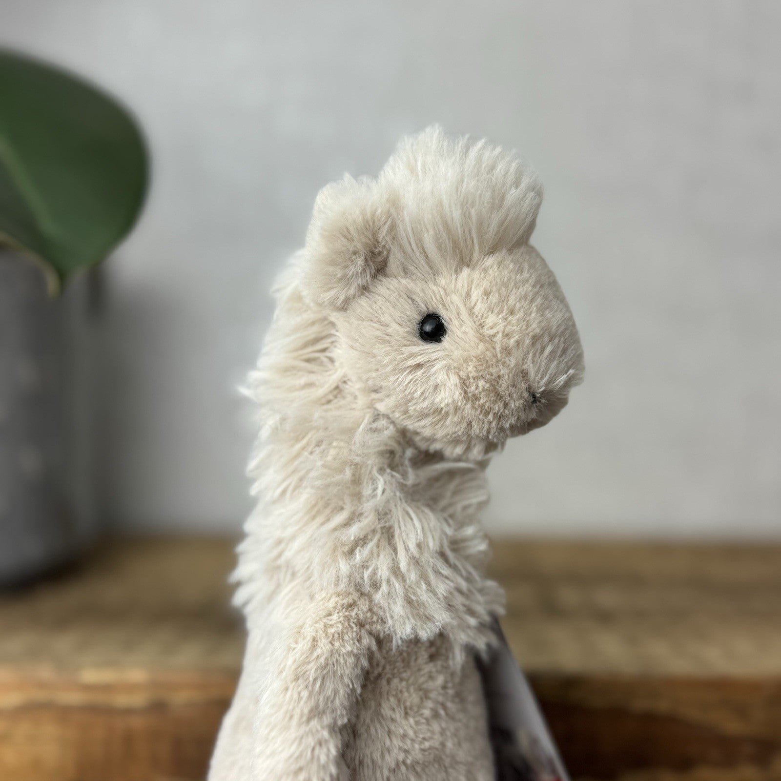 Jellycat Small Bashful Llama - Little Llama Light Beige Beanie Plush Teddy 8”