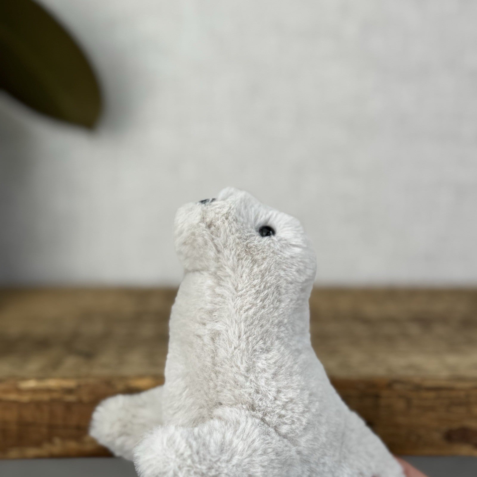 Jellycat Diddle Seal - Diddle Collection - Tiny Seal Soft Toy Plush Collectible 