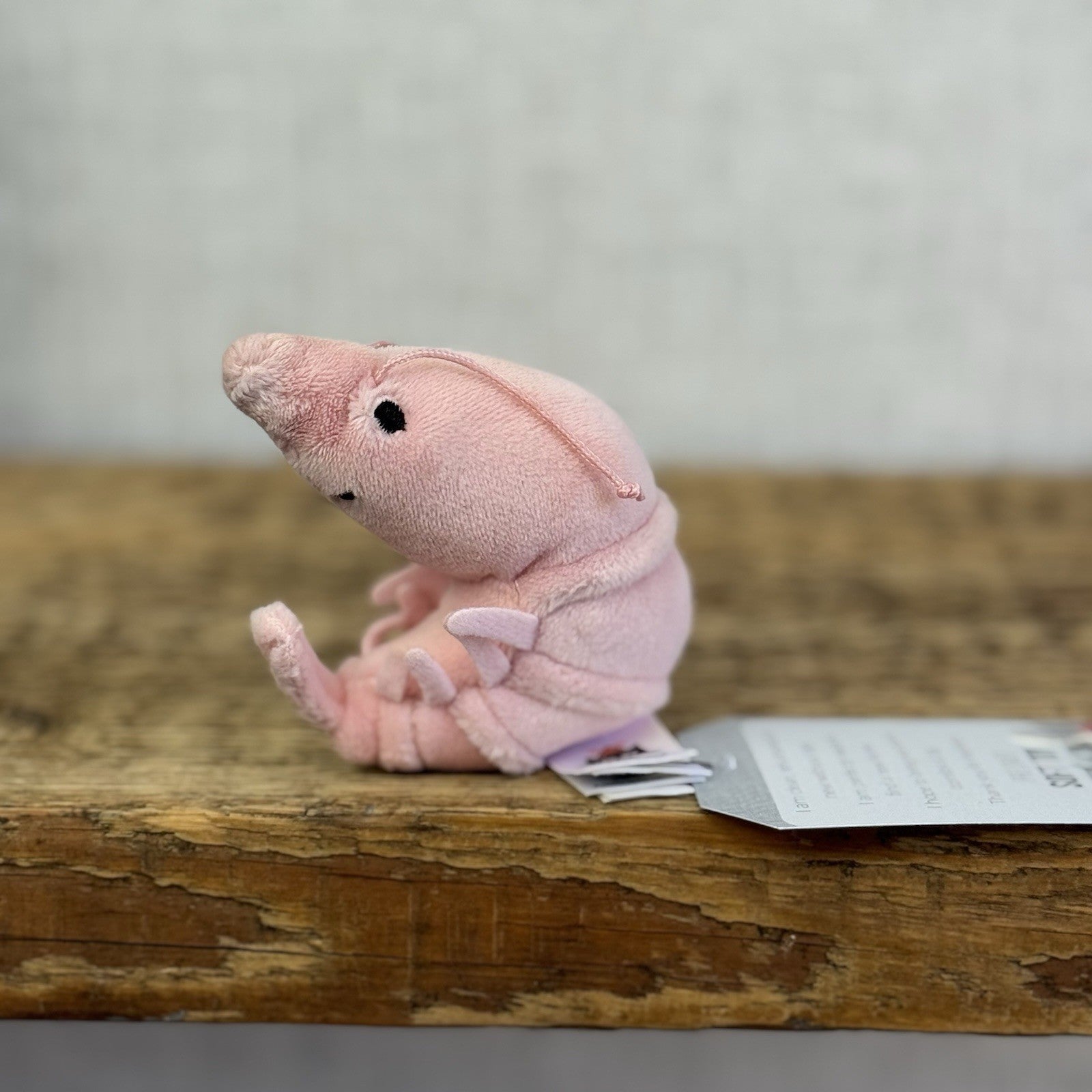Jellycat Sensational Seafood Shrimp - Small seafood Play Toy Retired 4"