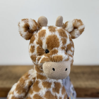 Jellycat Medium Bashful Giraffe (first Release/old Style) Beanie Retired 12"