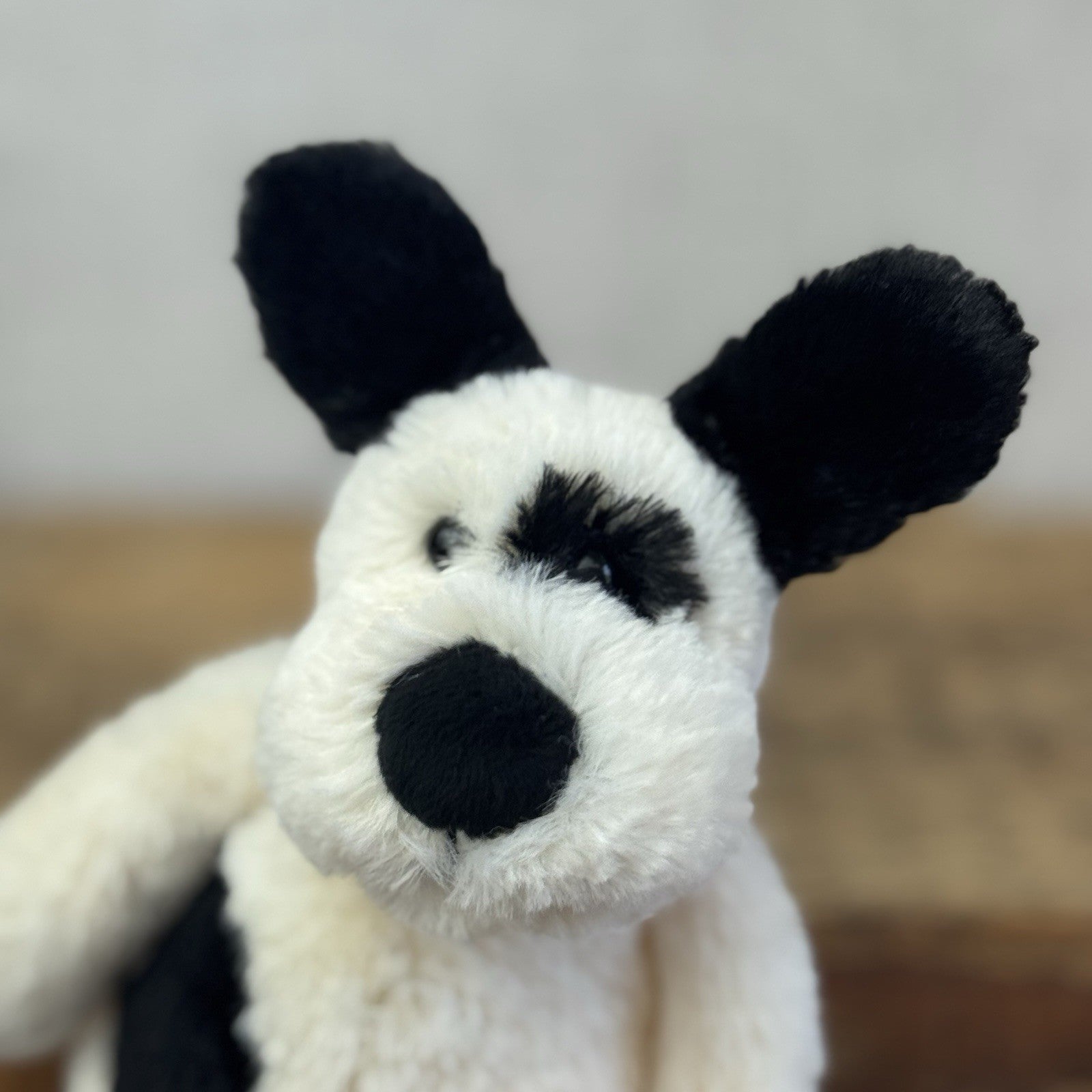 Jellycat Bashful Black & Cream Puppy Dog - Small Beanie Dog Retired Plush 8”