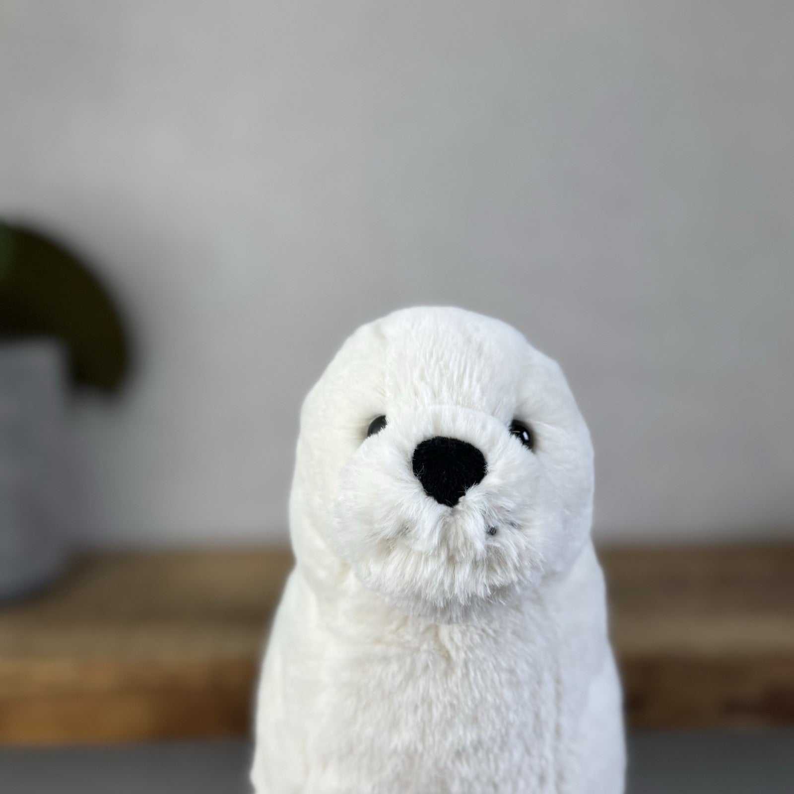 Jellycat Small Rafferty Seal Pup - White Seal Soft Toy Plush Retired 10” (#2)