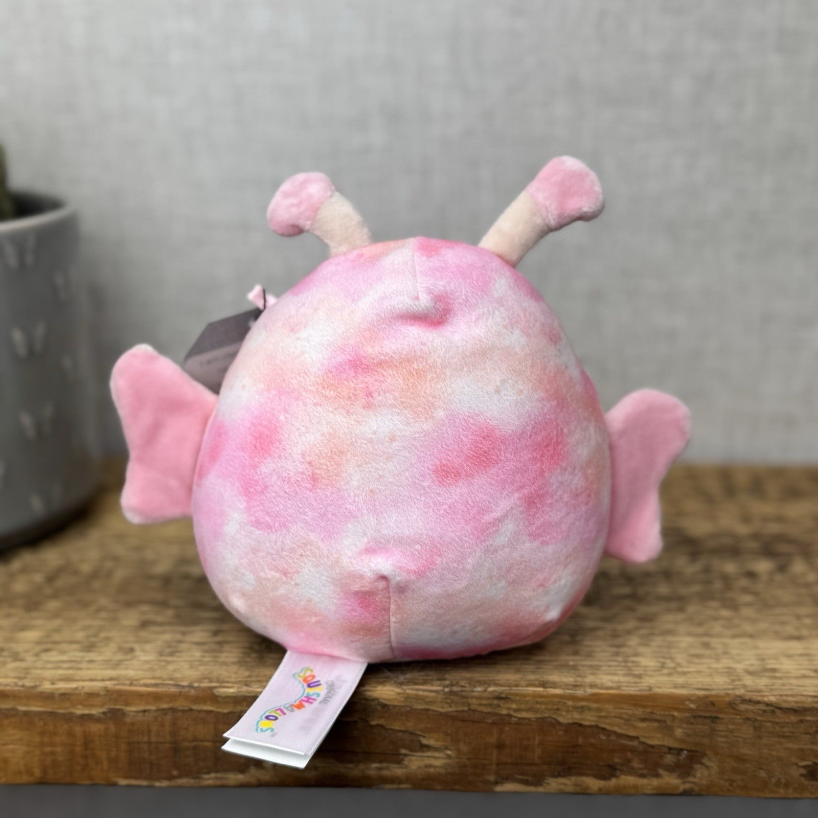 Squishmallow Eileen Butterfly - Small Pink Butterfly Soft Toy Squish NWOT 8"