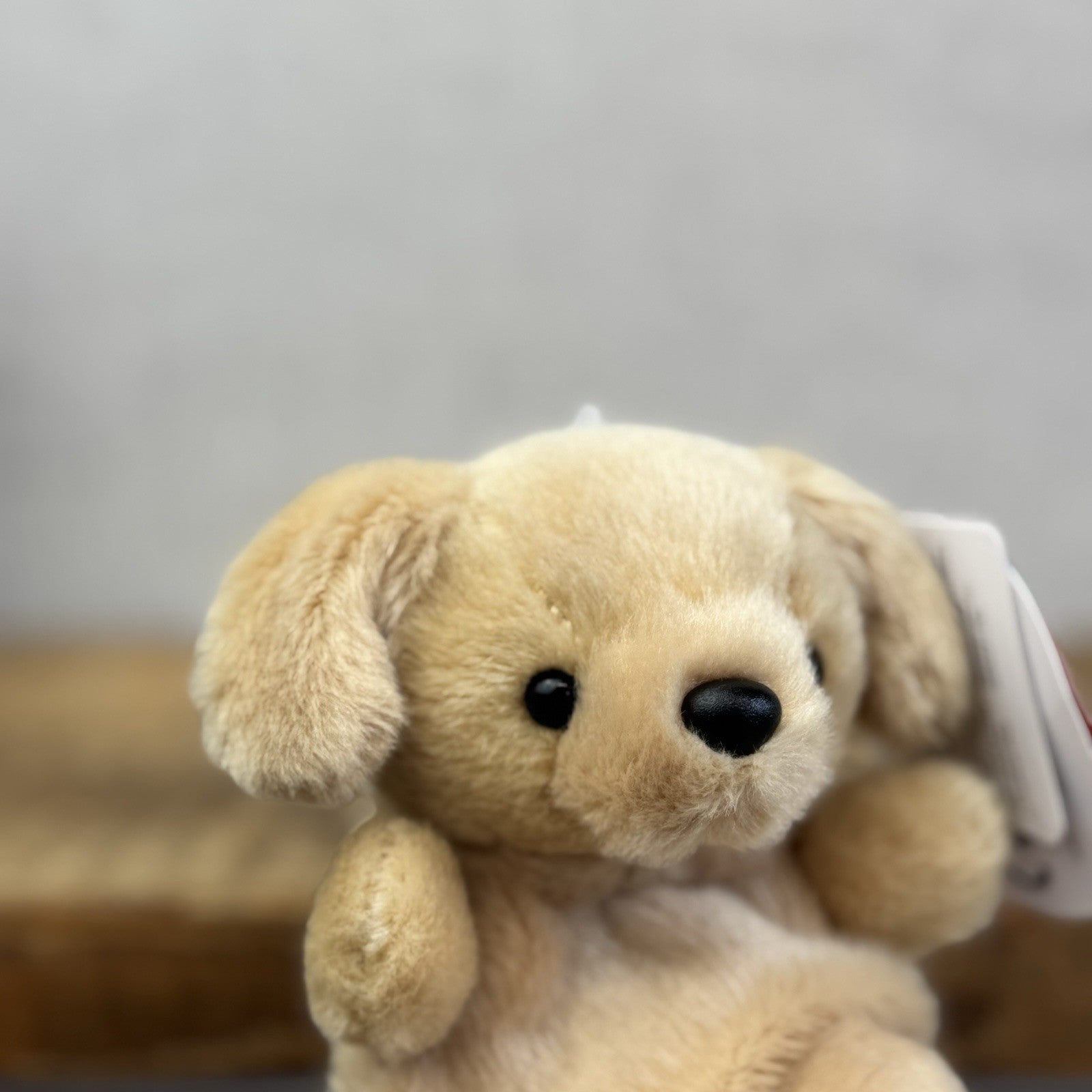 Aurora Sunny Lab - Small Labrador Soft Toy Mini - Palm Pals Mini Beanbag Plush