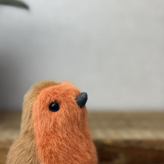 Jellycat Birdling Robin - Bird Pocket Pal Beanie Fluffy Bird Soft Toy Retired 4"