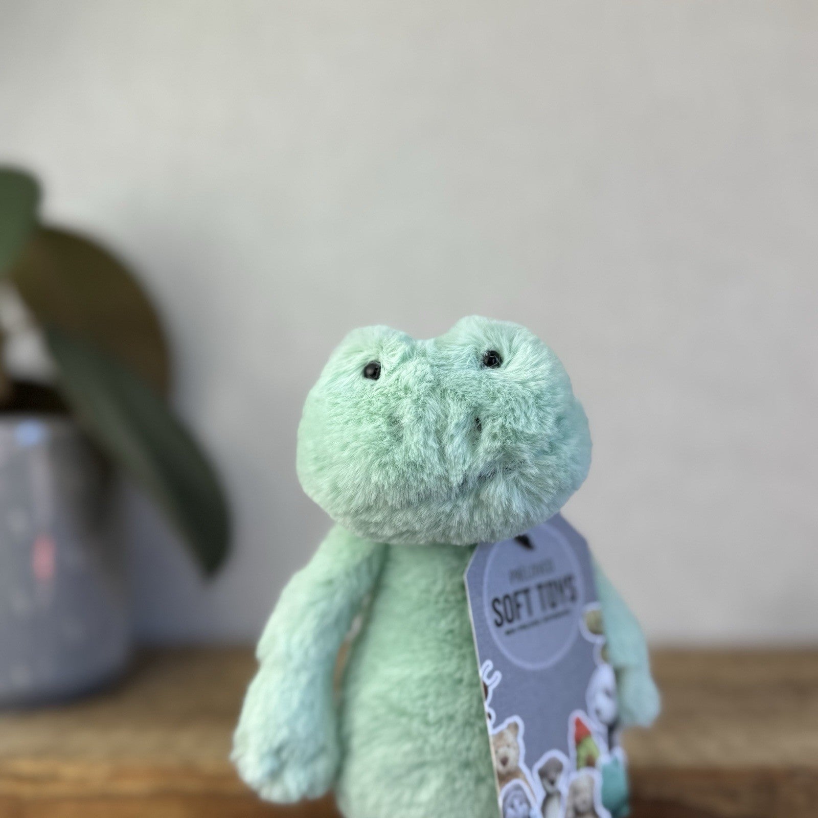 Jellycat Small Bashful Mint Green Frog Soft Beanie Plush Rare And Retired 8”