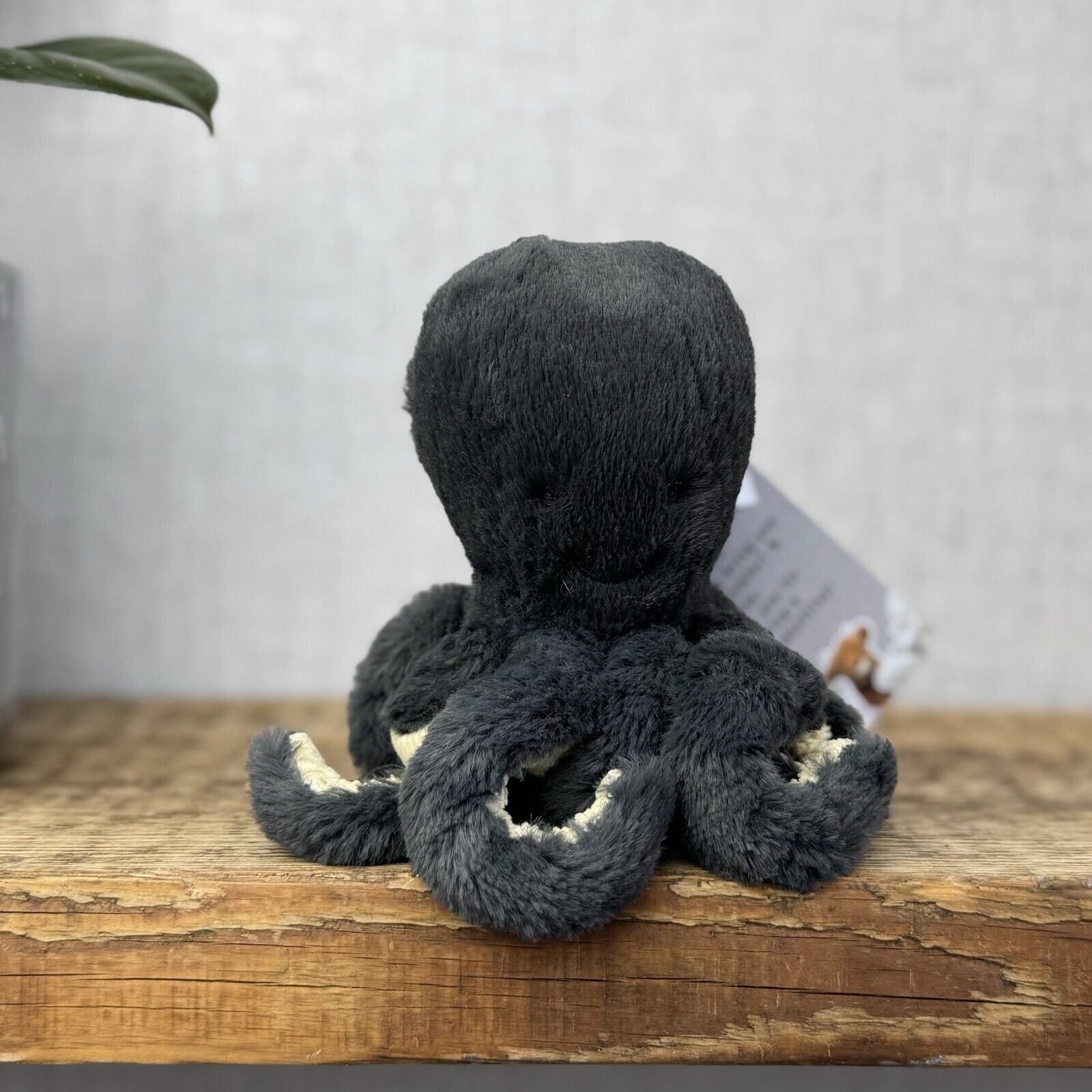Jellycat Baby Inky Octopus - Tiny Black Octopus - Small Octopus Beanie 5" (2)