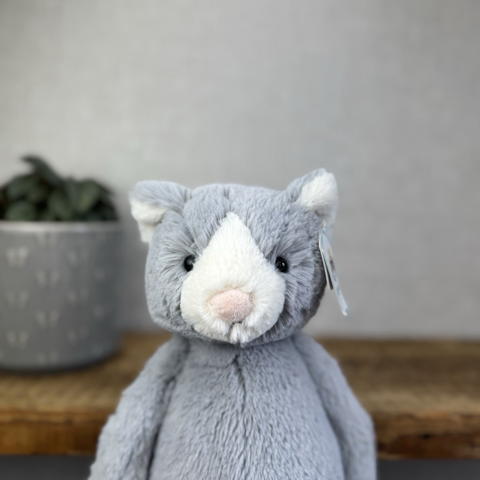 Jellycat Medium Bashful Cat - Grey/White Medium Kitten Plush - With Tags