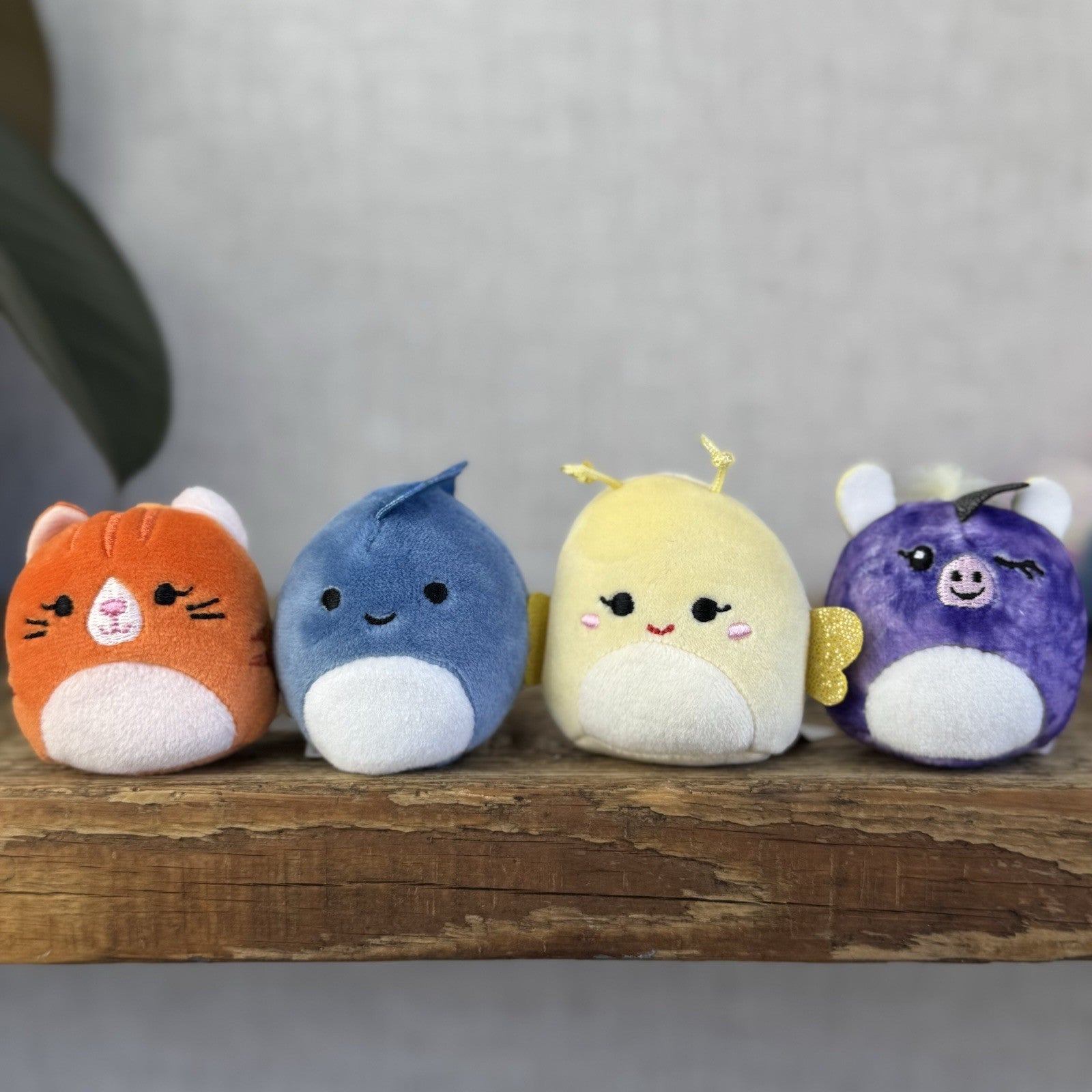 Squishmallow Squishville Bundle x12 - Mixed Bundle Tiny Squishmallow 2" Bright