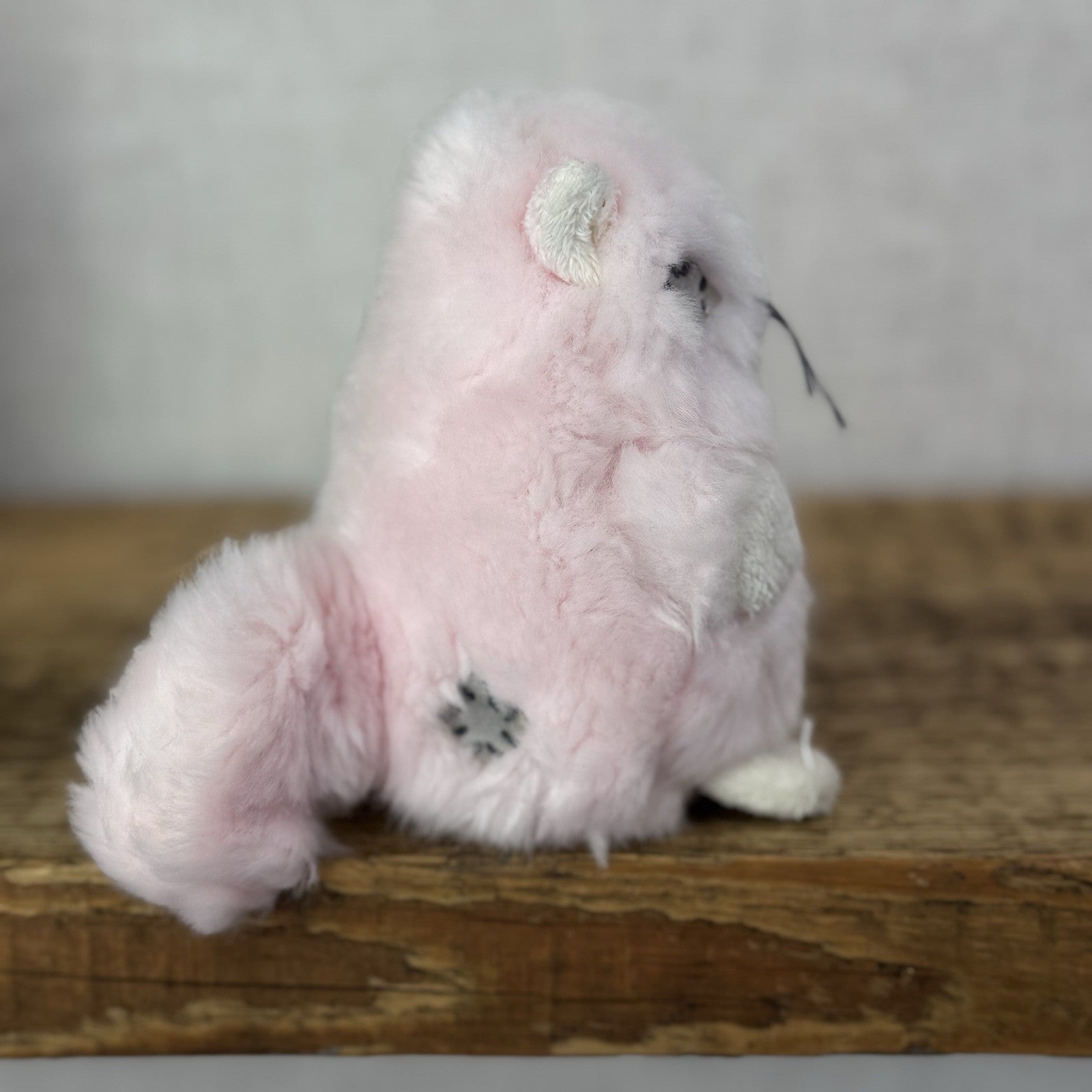 Blue Nose Friends Paws Pink Persian Cat #105 - Mini Pink Fluffy Kitten