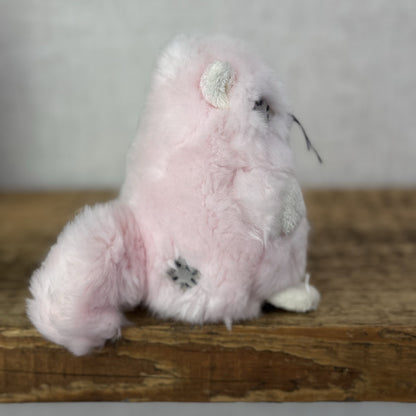Blue Nose Friends Paws Pink Persian Cat #105 - Mini Pink Fluffy Kitten