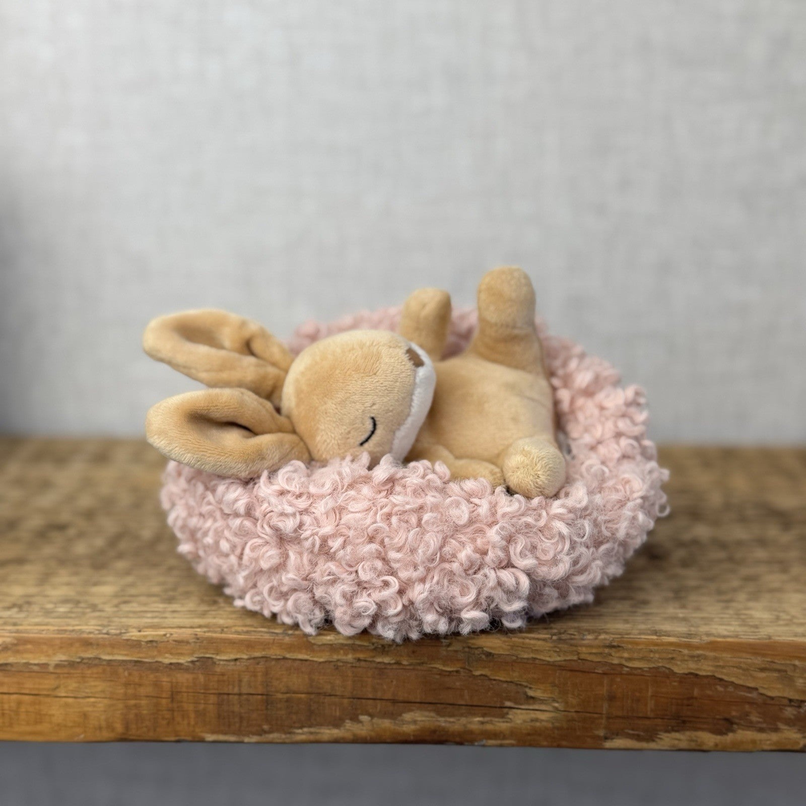 Jellycat Hibernating Bunny- Baby Sleeping Rabbit & Nest Soft Toy Plush Cute 5”