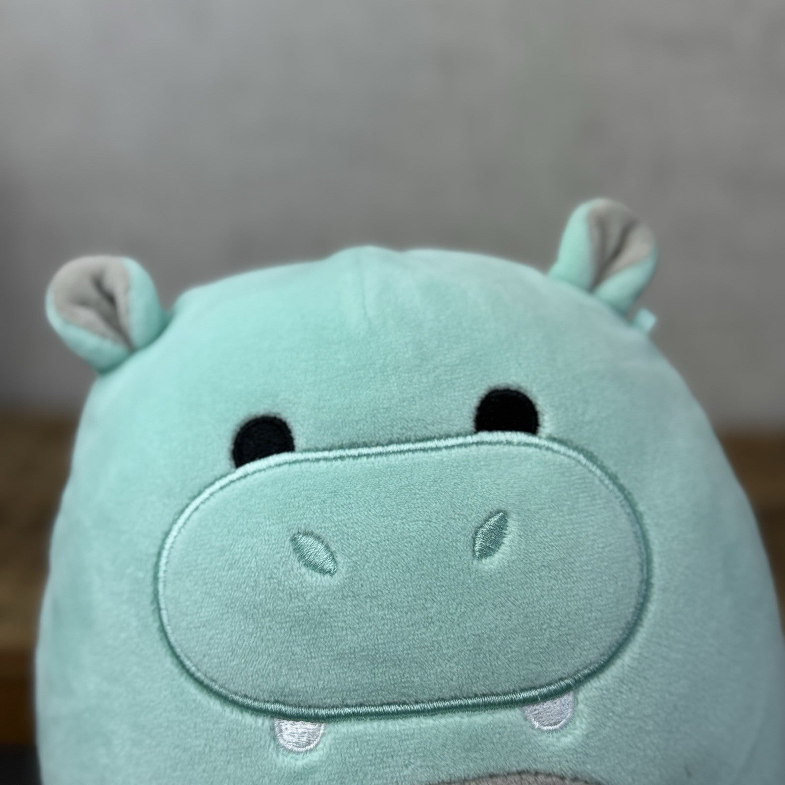Squishmallow Hank The Hippo Blue/Mint Squishmallow Wild Animal Plush  7"