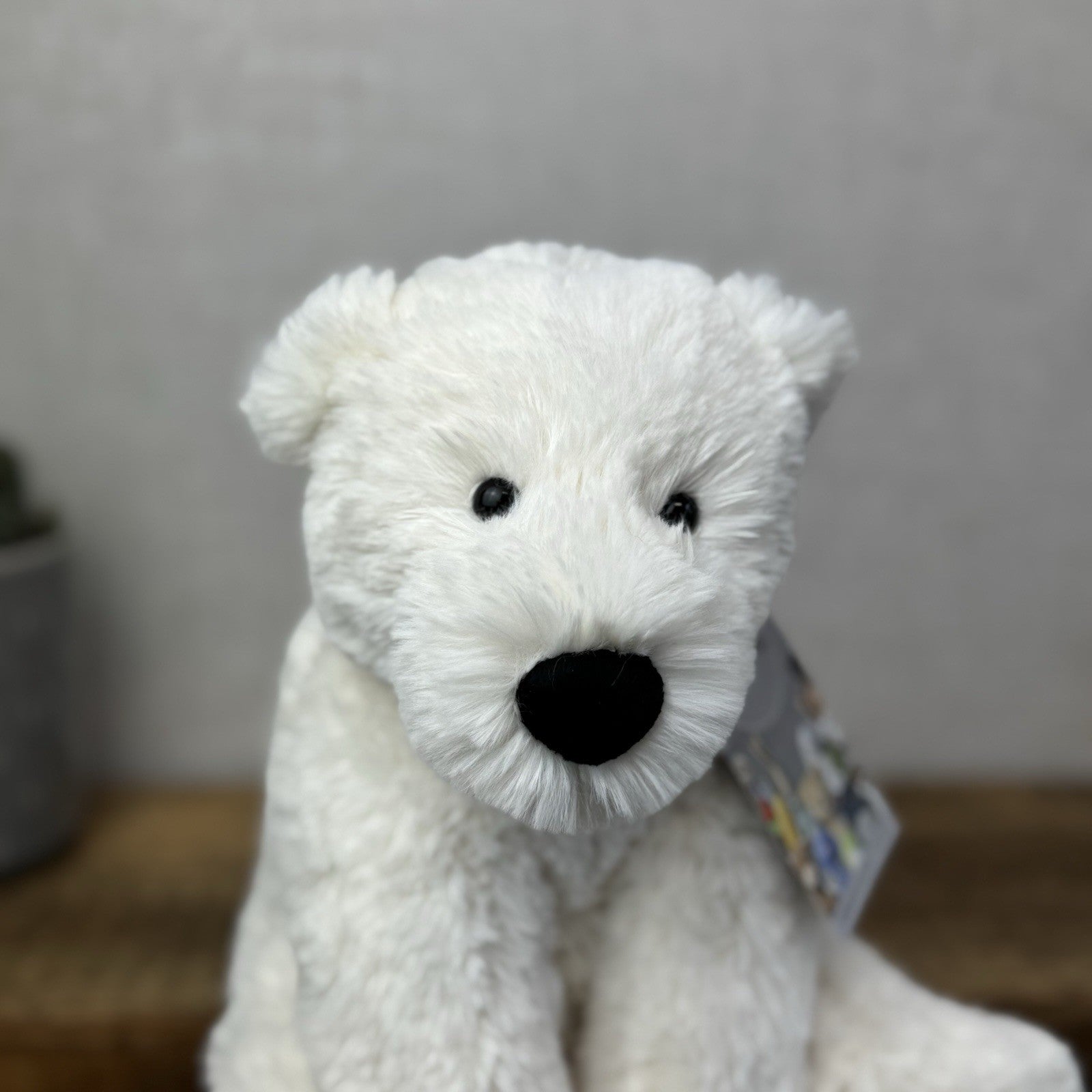 Jellycat Medium Perry Polar Bear - White Polar Bear Beanie Soft Toy 8” (#2)