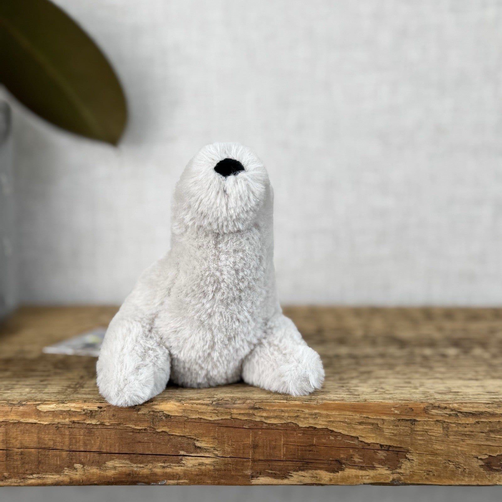 Jellycat Diddle Seal - Diddle Collection - Tiny Seal Soft Toy Plush Collectible 