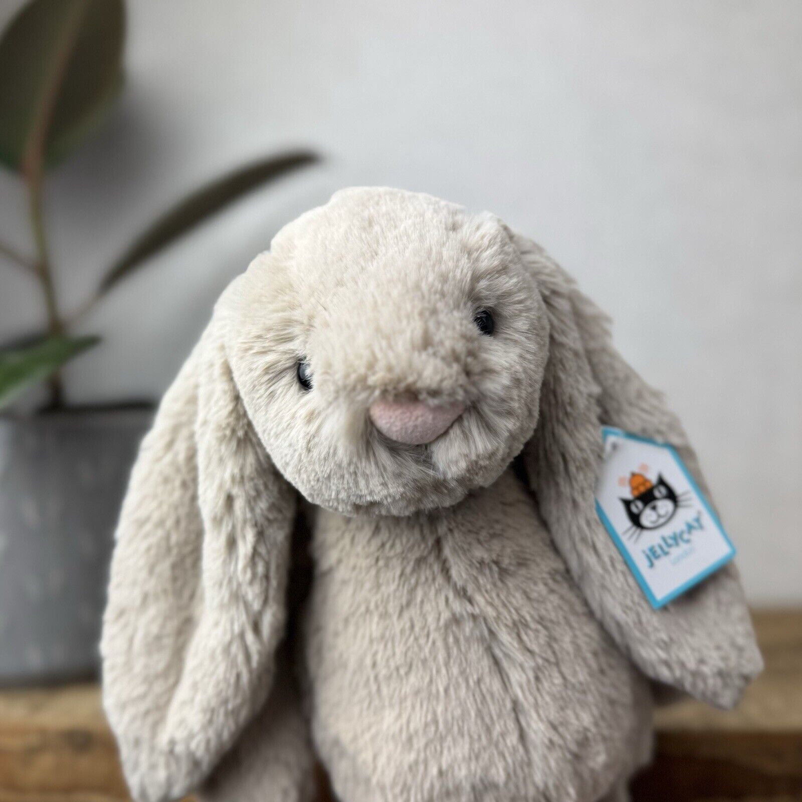 Jellycat Medium Bashful Beige Bunny - Light Brown Bunny Soft Toy Beanie 12” (2)