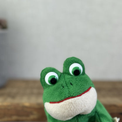 Russ Berrie Luv Pet Fergie - Floppy Beanbag Frog Soft Toy Retired With Tags 8”
