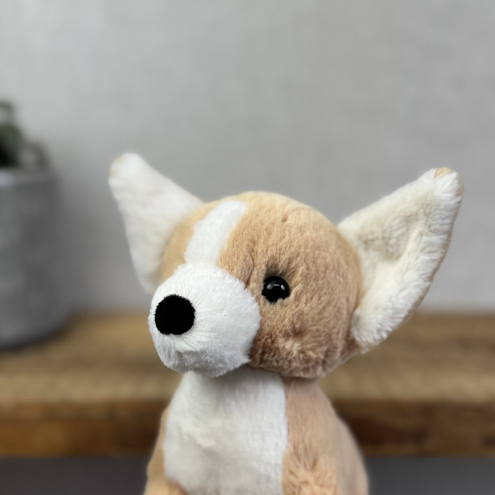 Jellycat Isobel Chihuahua - Small Soft Toy Dog Plush Beanie Cute Puppy 7"
