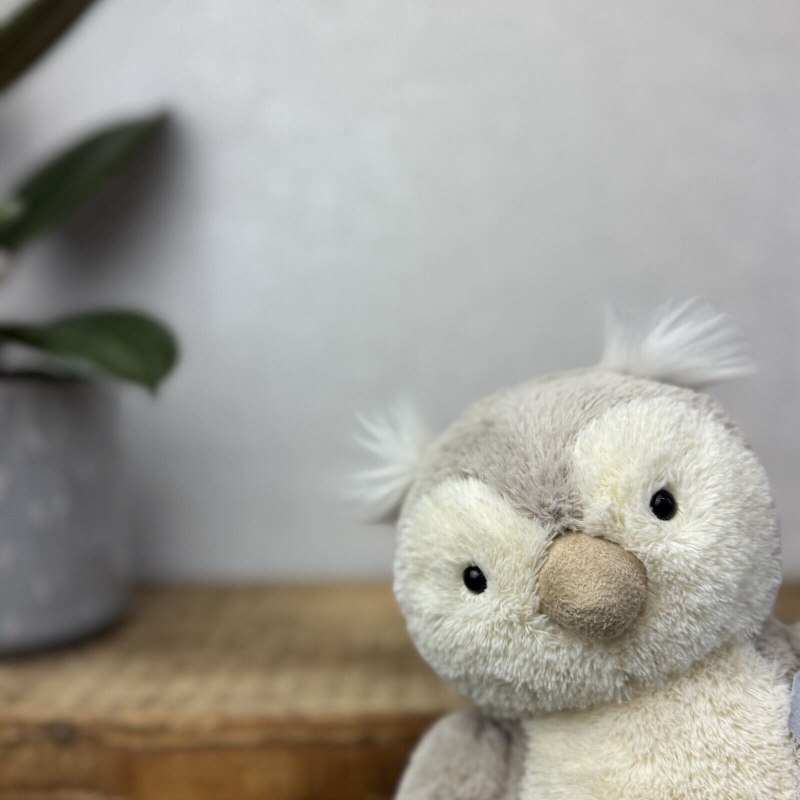Jellycat Peanut Owl - Medium Peanut Chubby Beige/white Owl Plush Beanie 8”