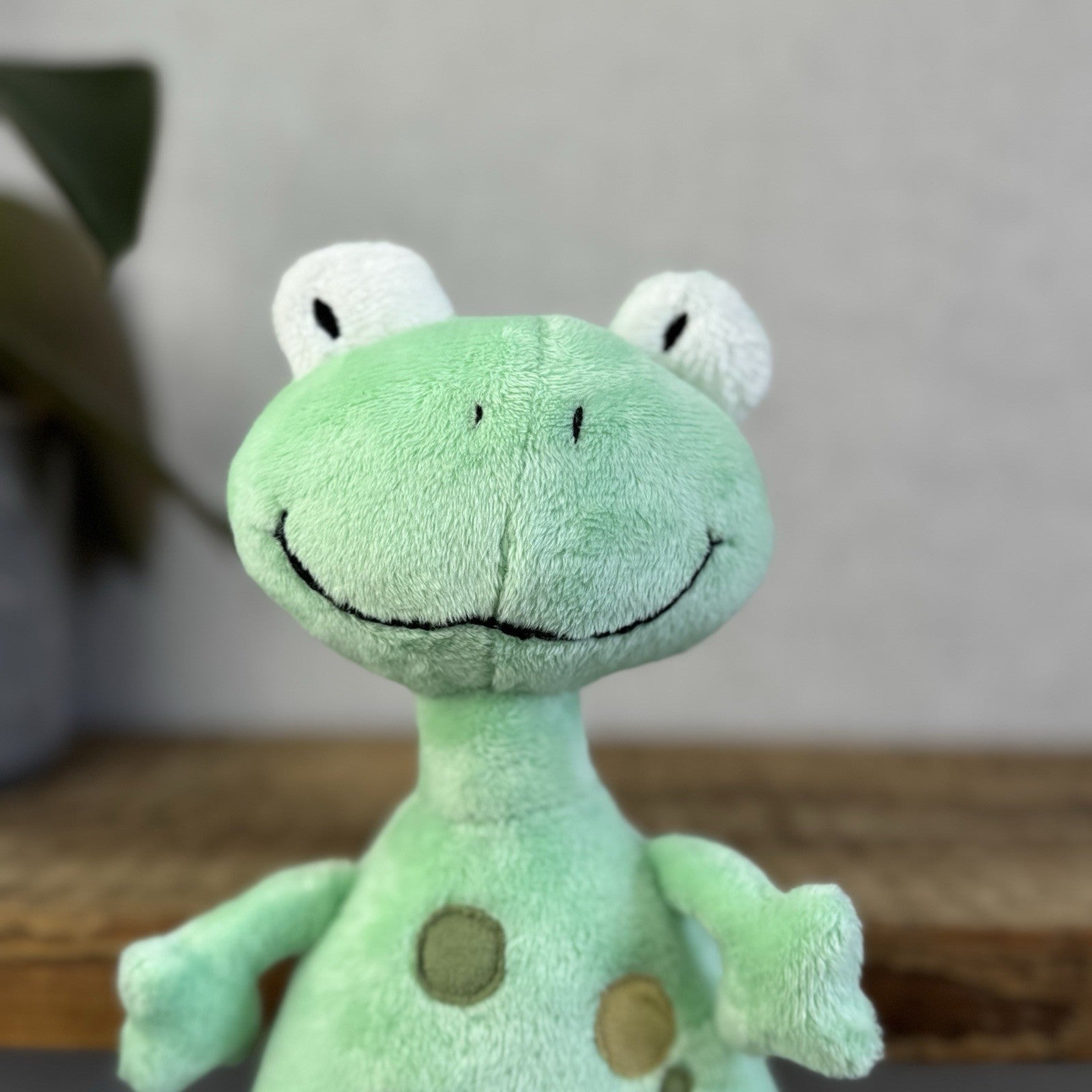 Jellykitten Bing Bong Frog - Soft Toy Frog Vintage Retired With Tags Small 10”