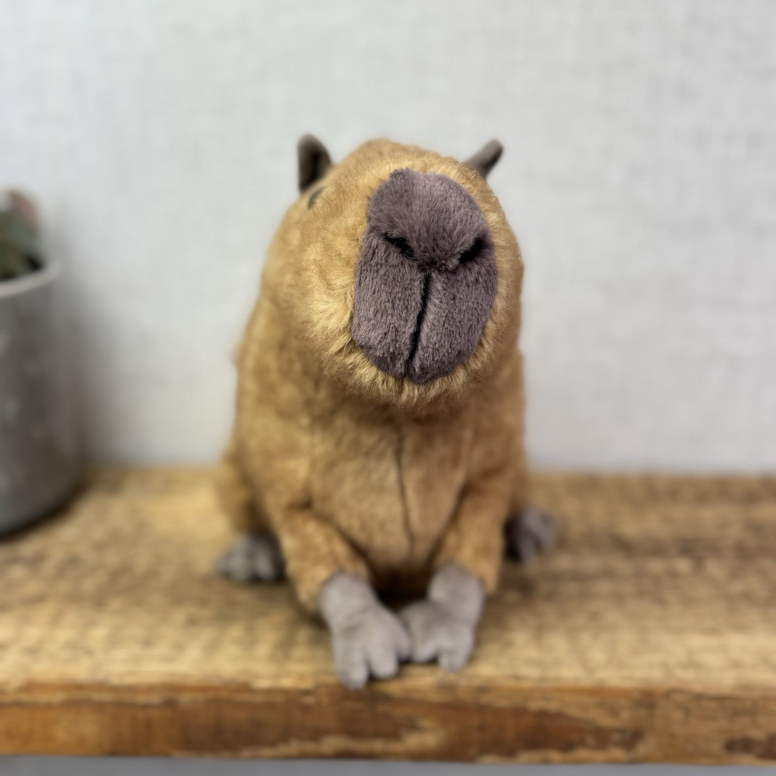 Jellycat Clyde Capybara - New With Tags Capybara Soft Toy Retired 10"