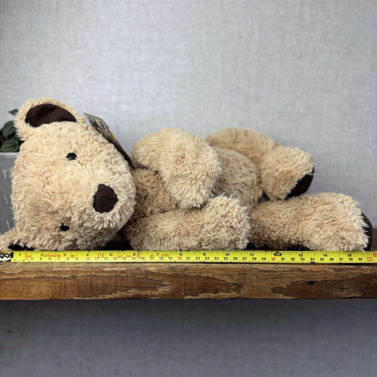 Jellycat Edward Bear Large - Big Light Brown Traditional Beige Bear Rare 17”