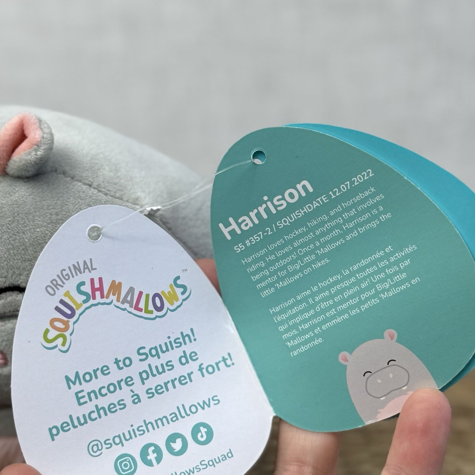 Squishmallow 5" Harrison Hippo Small Plush Squish New With Tags Grey/pink