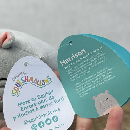 Squishmallow 5" Harrison Hippo Small Plush Squish New With Tags Grey/pink