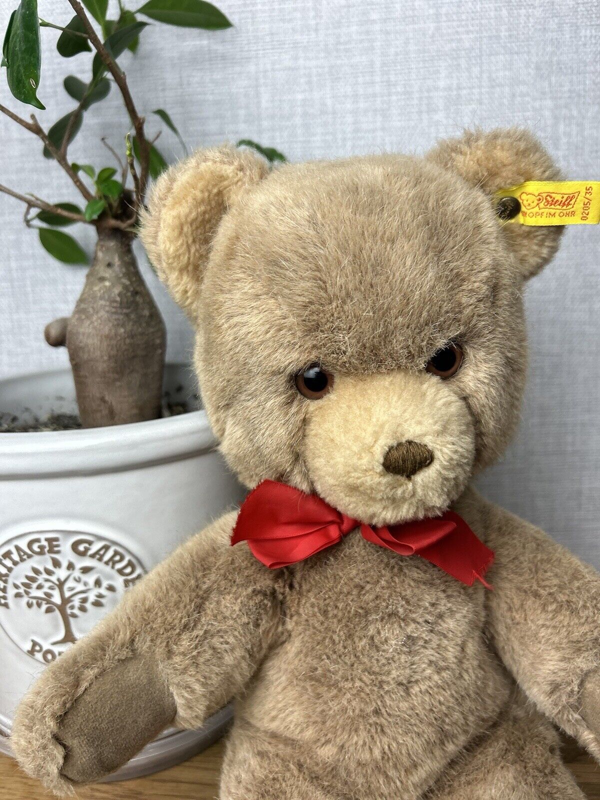 Vintage Steiff Plush Sitting Teddy 0205/35 - Vintage Steiff Teddy Bear Medium