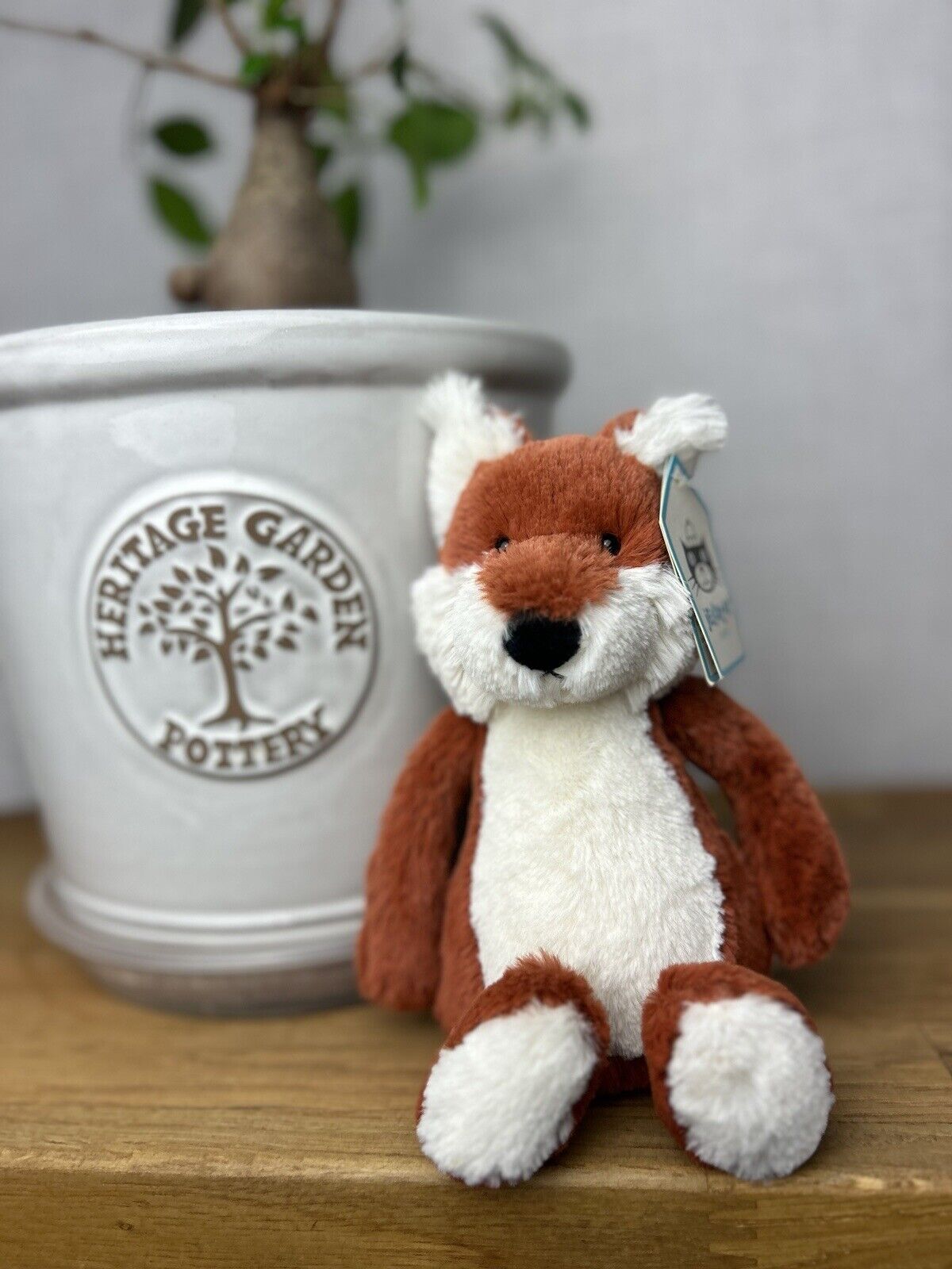 Jellycat Small Bashful Fox - White Belly Fox - OG - Small Fox Jellycat - New